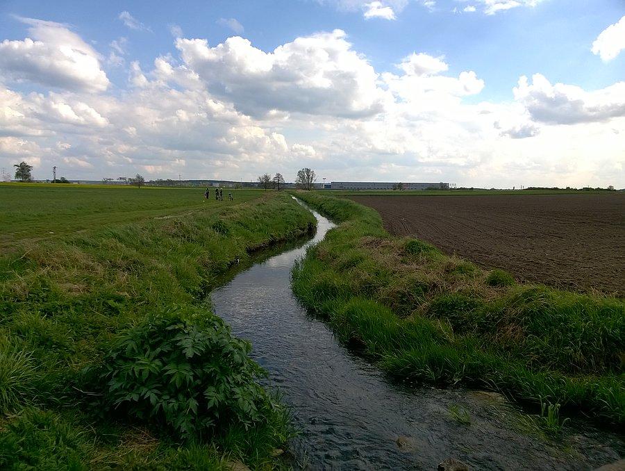 Wirynka między Plewiskami, a Głuchowem