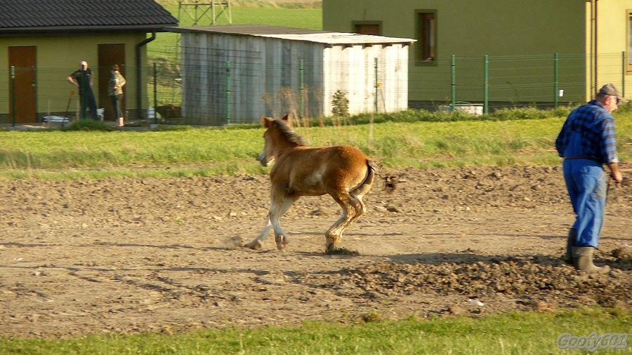 Beztroskie podrygi ;)