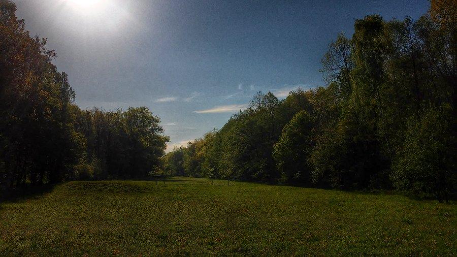 Świeci słońce