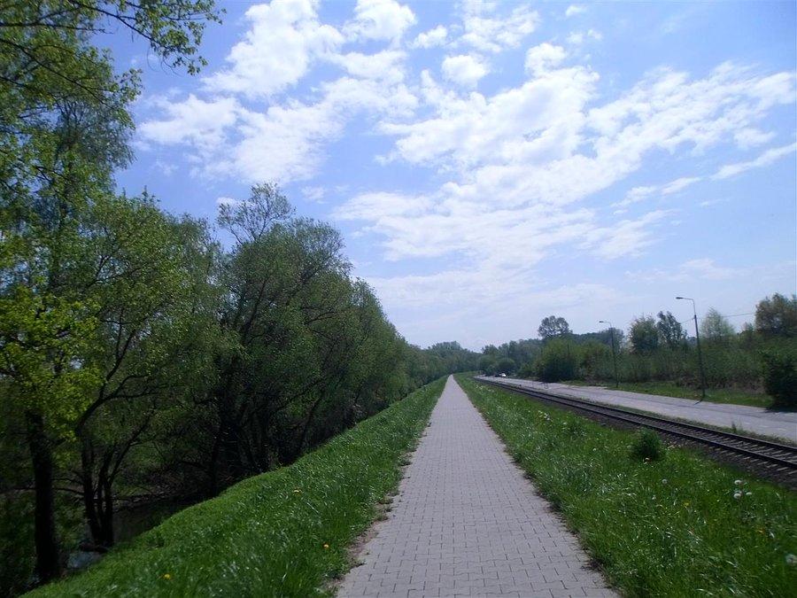 Jest kostka