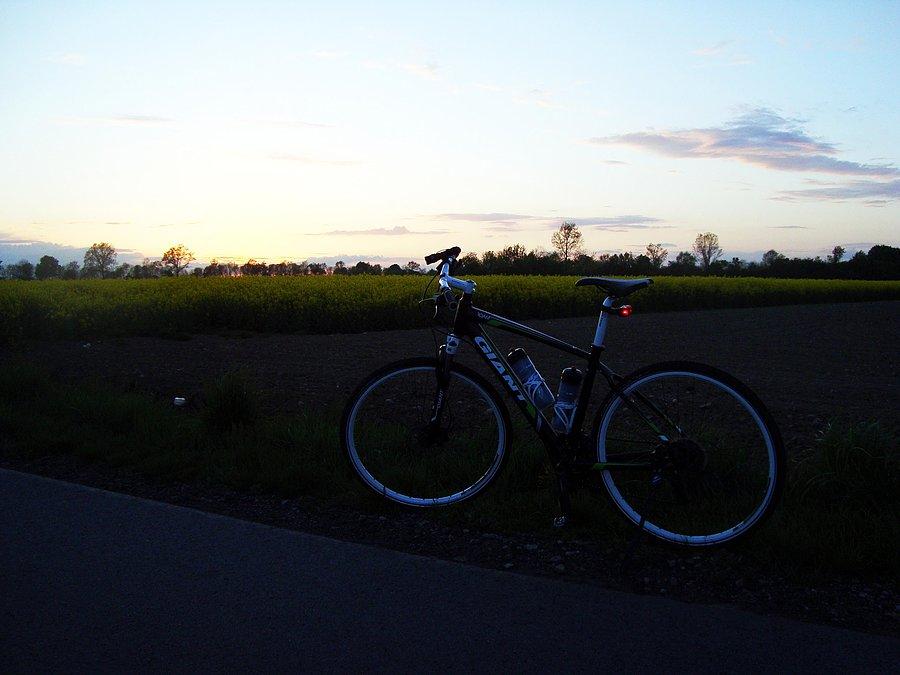 Giant Roam 2