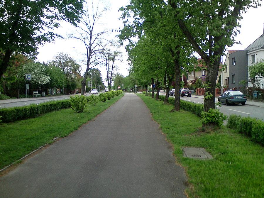 Aleja Piastów