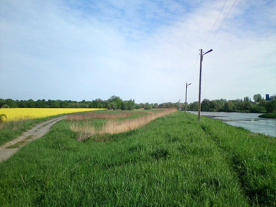Odra, betonówka i rzepak