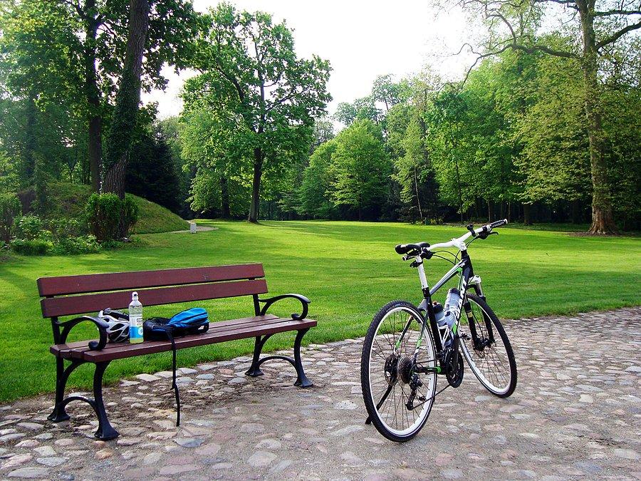 Park w Dobrzycy