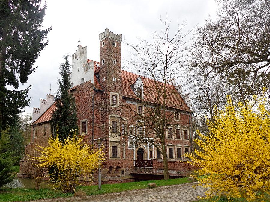 Wokół zamku wiosna