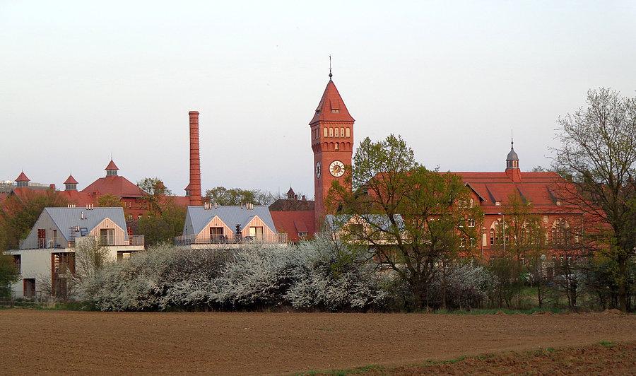Pracze z wału nad Bystrzycą
