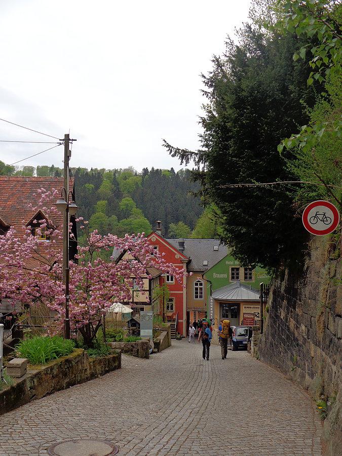 Powrót z krainy lasów i skał, uliczkami Schmilki nad Łabą