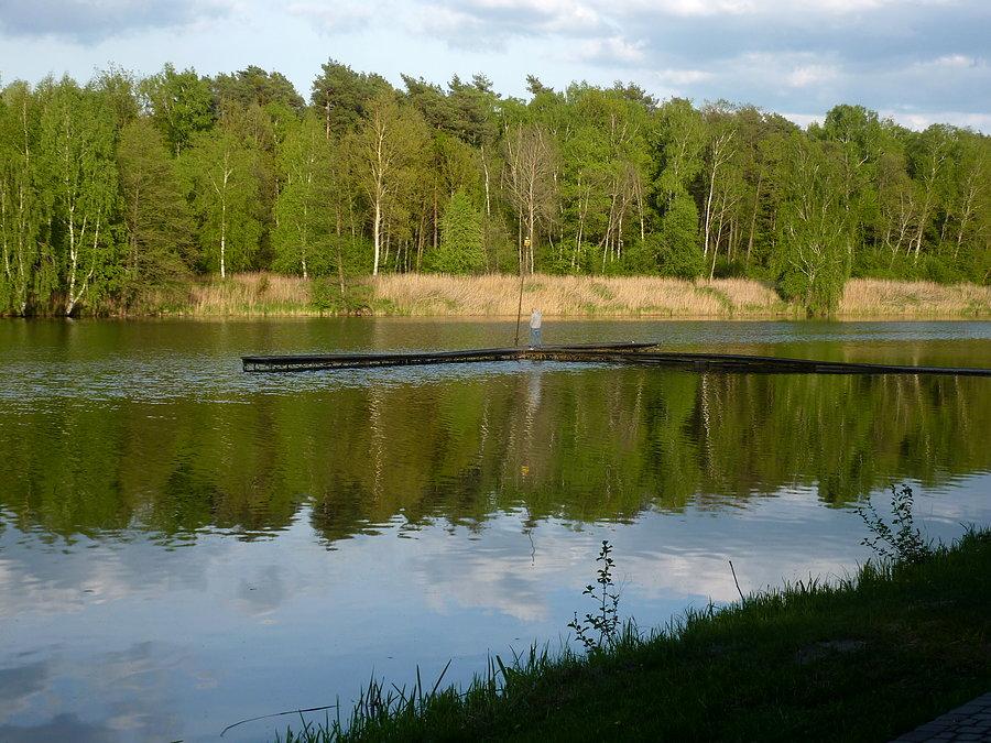 Staw w Zalesiu Górnym