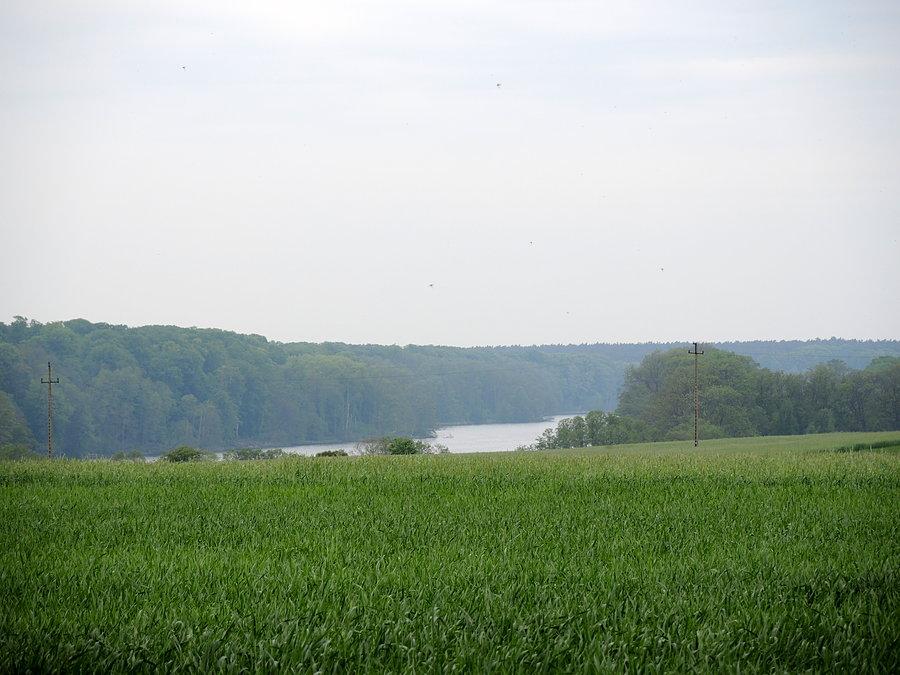 Widok na Jezioro Lutomskie