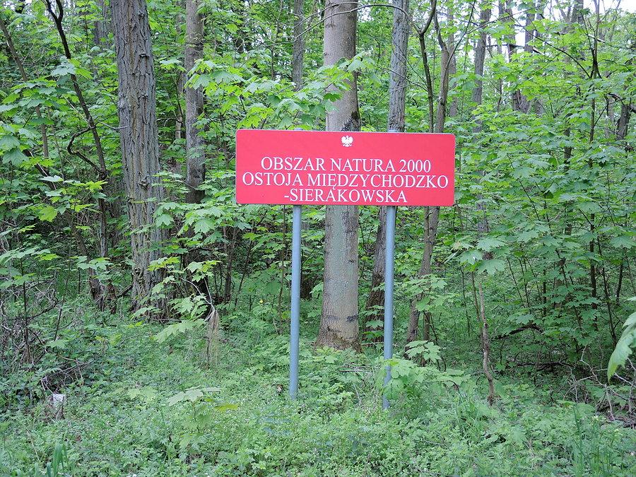 Przed Sierakowem - Obszar Natura 2000 - Ostoja Międzychodzko - Sierakowska