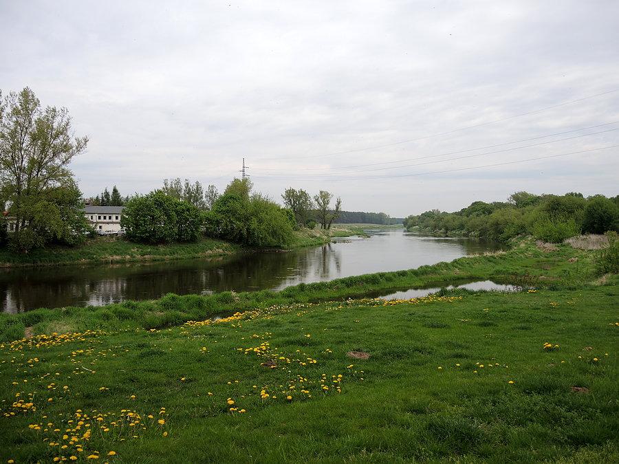 Widok na Wartę - okolice Zamku Opalińskich w Sierakowie