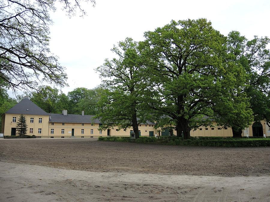 Na terenie stadniny ogierów w Sierakowie