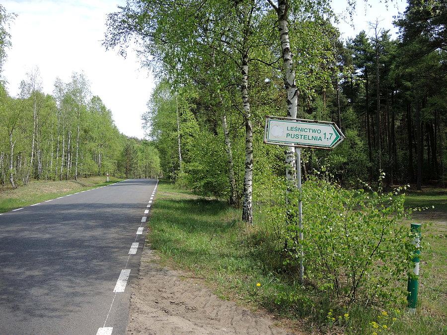 Droga w kierunku Chojna - zjazd w kierunku Leśnictwa Pustelnia