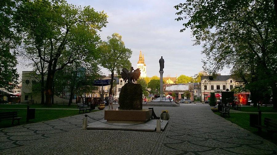 Zygmunt od tyłu