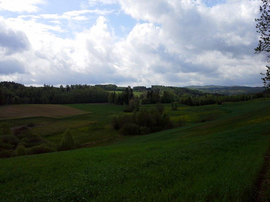 Lokalne widoczki
