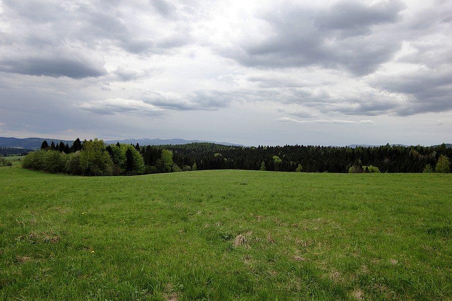Okolice nieistniejącej wsi - Żurawina, granica blisko