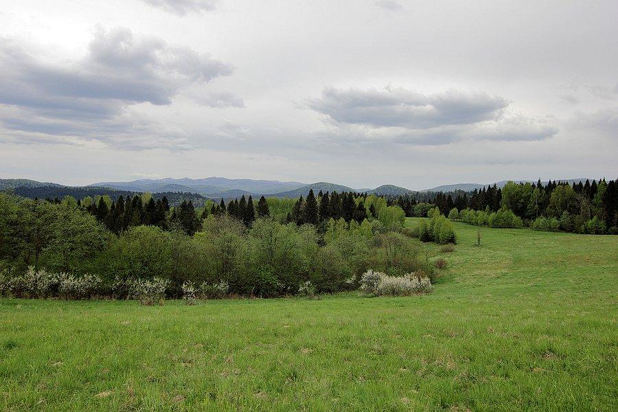 Polana widokowa w okolicy nieistniejącej wsi Żurawin