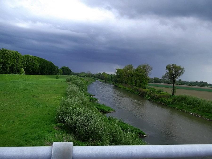 Rzeka Odra, obok drzew Olza wpada do Odry