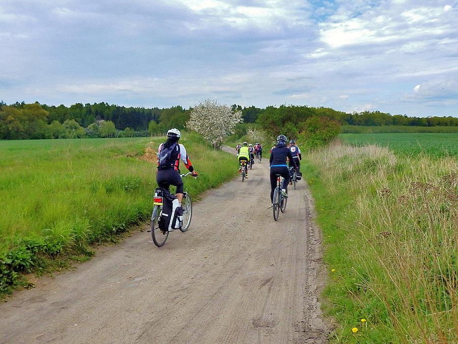 Biały Dwór - Podzamcze. Szlak Bursztynowy. Na trasie