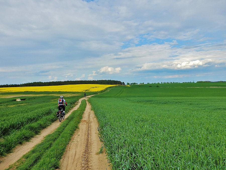 Biały Dwór - Podzamcze. Szlak Bursztynowy. Na trasie