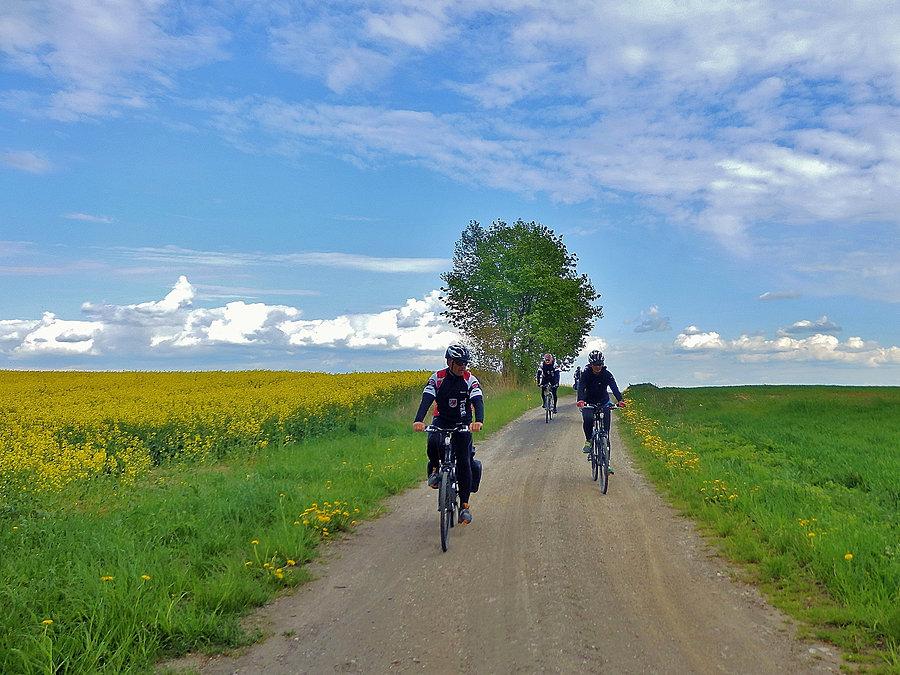 Biały Dwór - Podzamcze. Szlak Bursztynowy. Na trasie