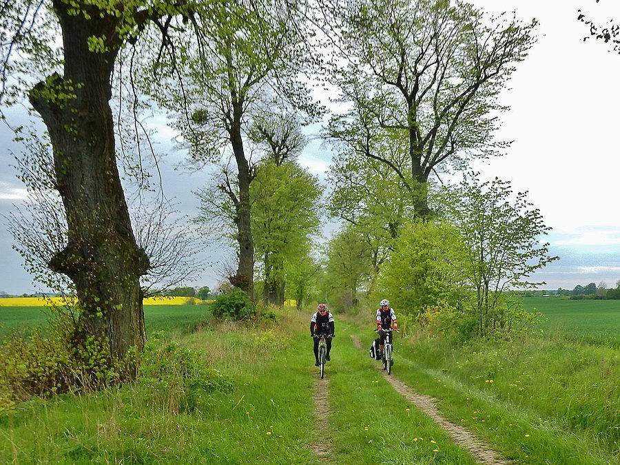 Biały Dwór - Podzamcze. Szlak Bursztynowy. Na trasie