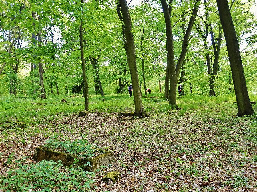 Biały Dwór - Podzamcze. Szlak Bursztynowy. Opuszczony cmentarz - Podzamcze
