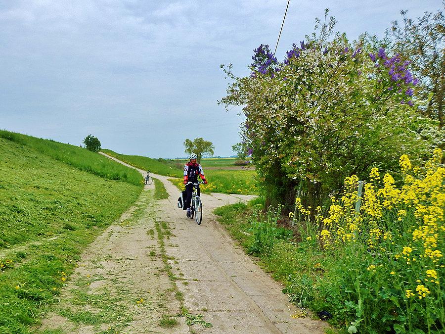 Biały Dwór - Podzamcze. Szlak Bursztynowy. Na trasie