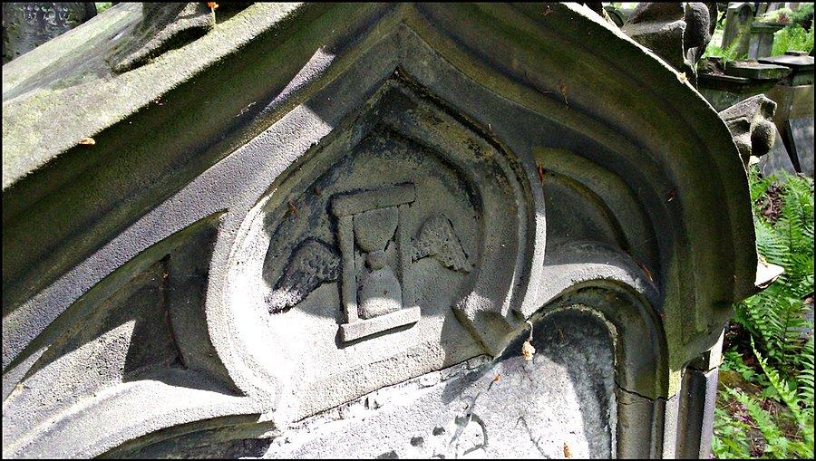 Stary Cmentarz Żydowski we Wrocławiu
