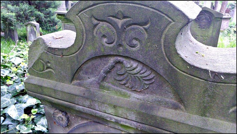 Stary Cmentarz Żydowski we Wrocławiu