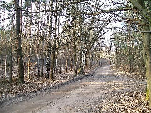 Droga od strony Mieszkowa wzdłuż ogrodzenia stacji nadawczej w Leszczynce- jest miejscami nieprzejezdna na kolarce. Tędy biegnie czerwony szlak Warszawskiej Obwodnicy Turystycznej