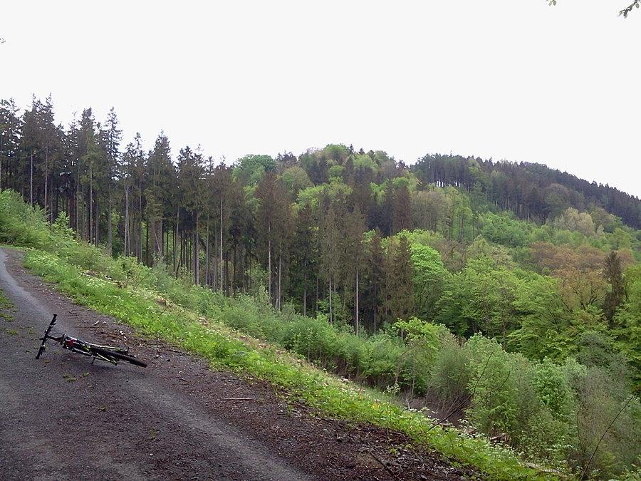 Babi hora