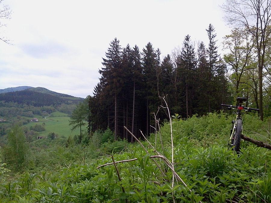 Babi hora