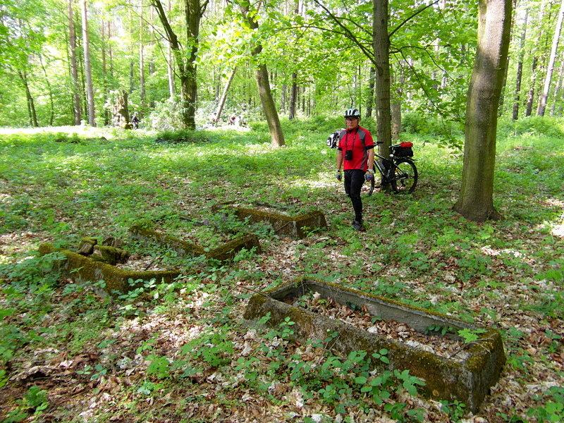 Stary cmentarz w lesie- Podzamcze