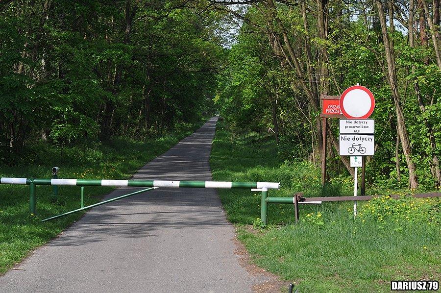 Mikulszowice - Puszcza Niepołomicka