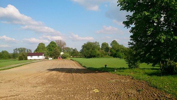 Widok na Polską wieś