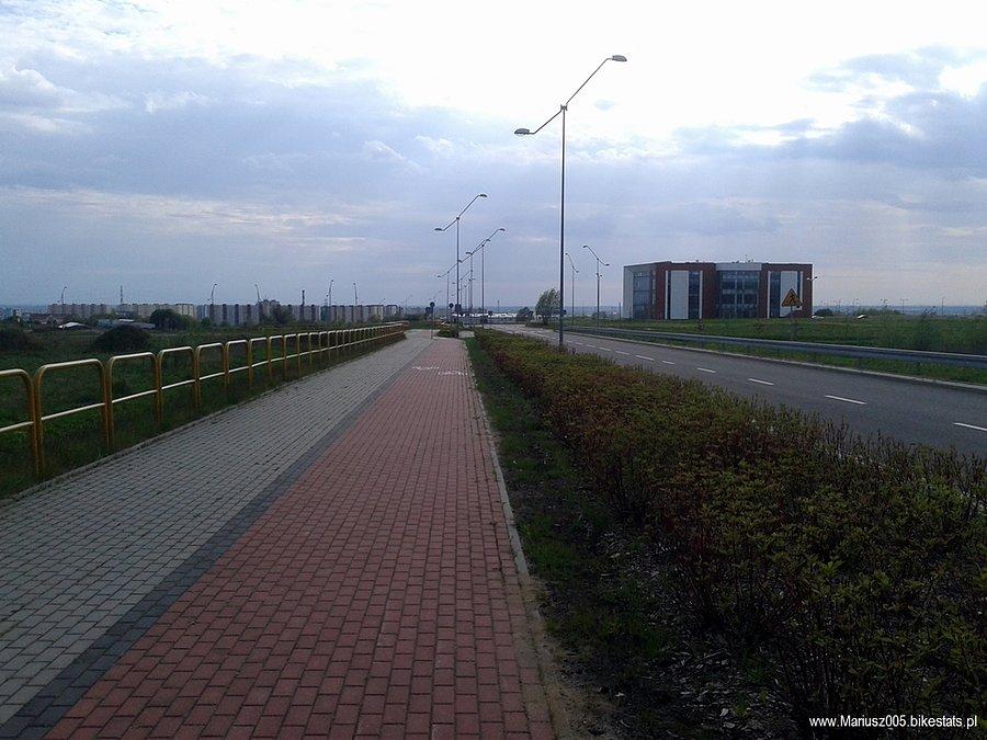 Modrzewina - Elbląg