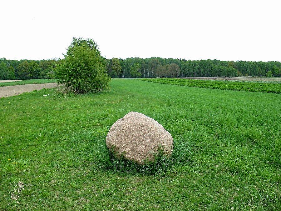 Kamyk Kabacki