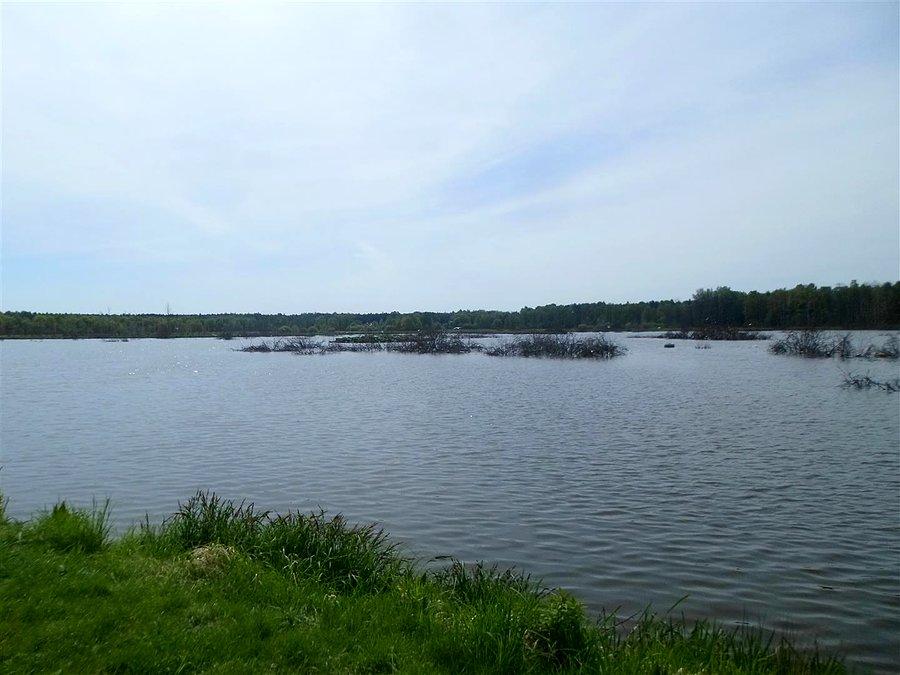 Mokre Łąki