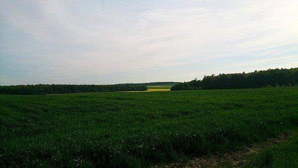 Widok na pola koło Tuszowa