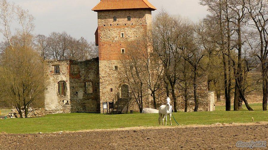 Tymczasem na zamku w Chudowie... ;)