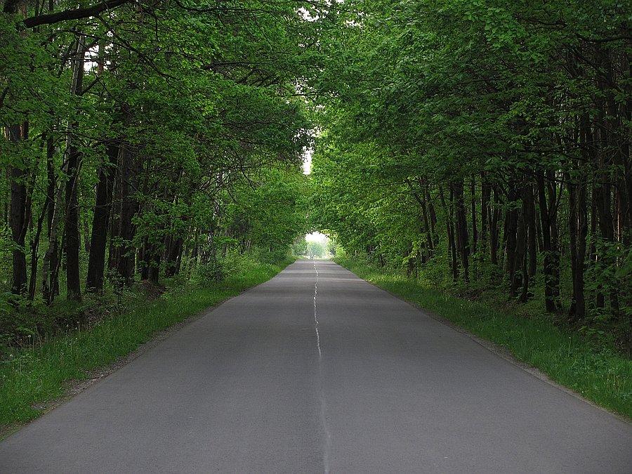 W stronę Borzęcina