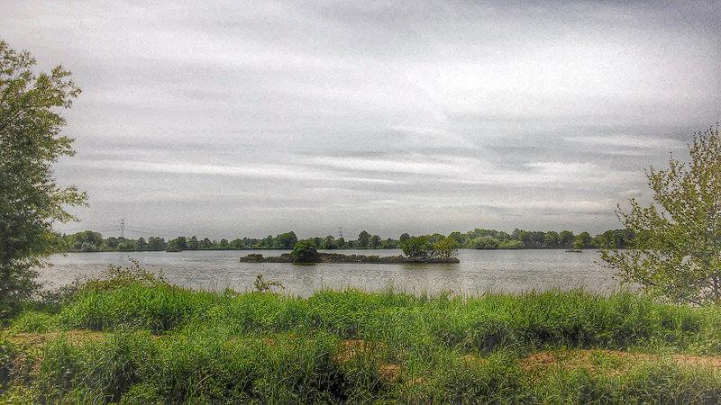 Ile tam było ptaków na wysepce