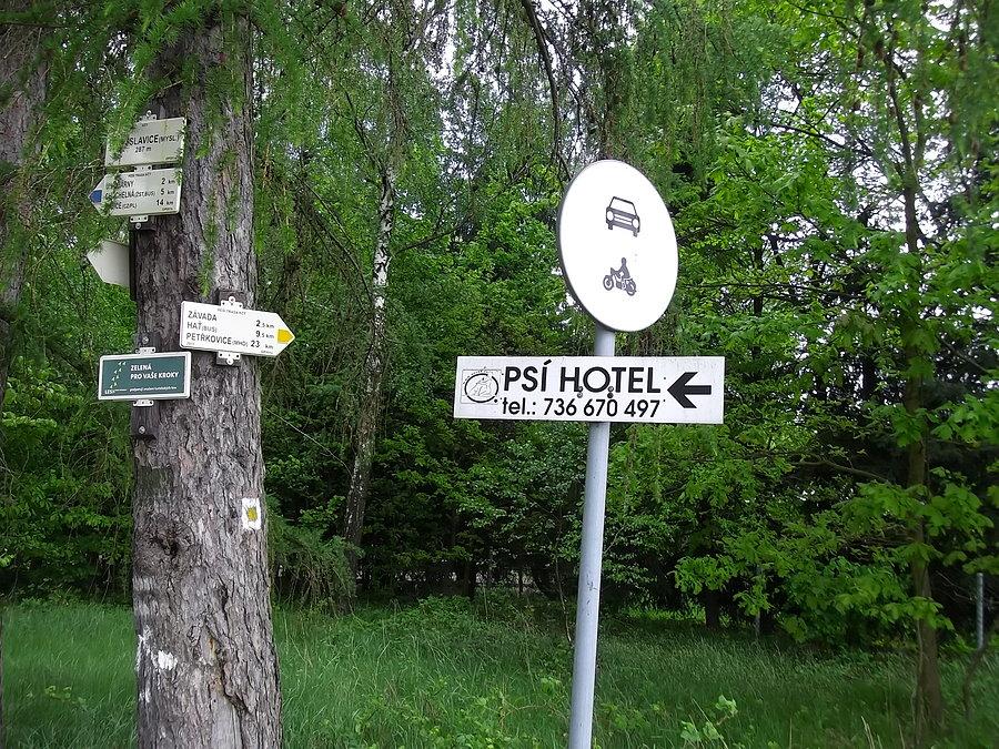 Lasy w okolicy Zavady, Bohuslavic
