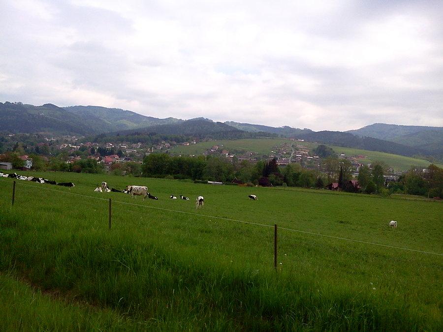 Beskidy i krówki