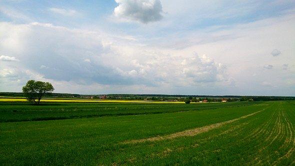 Widok na pola w Dominowie