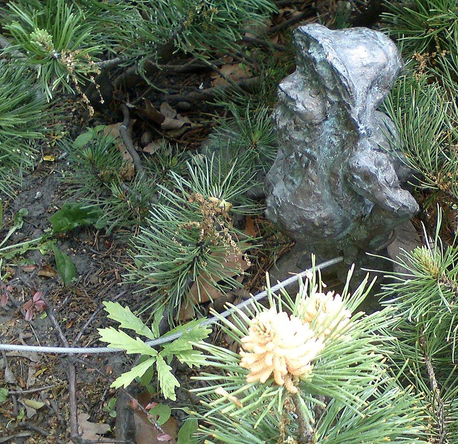 Alpinki (Głazek, Zarembek i Rutek), ul. Strzegomska