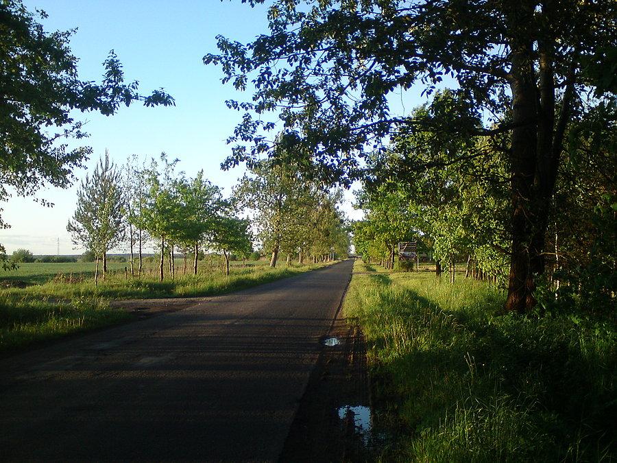 Wieczorem w Kościerzycach na Florydzie