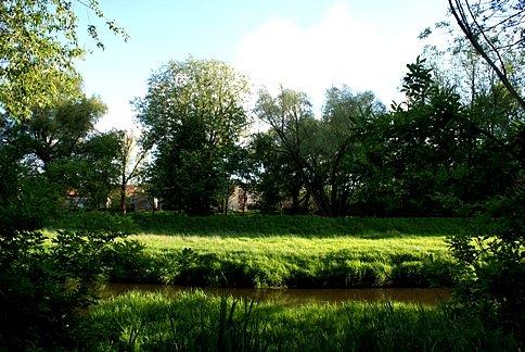 Nad rzeką Wolbórką