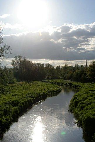 Tędy także